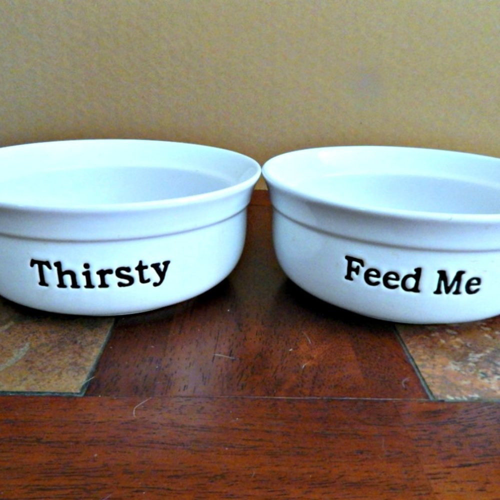Feed Me & Thirsty Dog Pet Food Water Bowl Set 7"